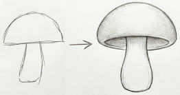 Your drawing â†’ 4 weeks later