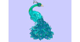 Drawing of Peacock by ThasMe13
