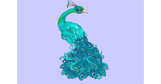 Drawing of Peacock by ThasMe13