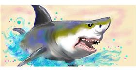 Drawing of Shark by justme❤️