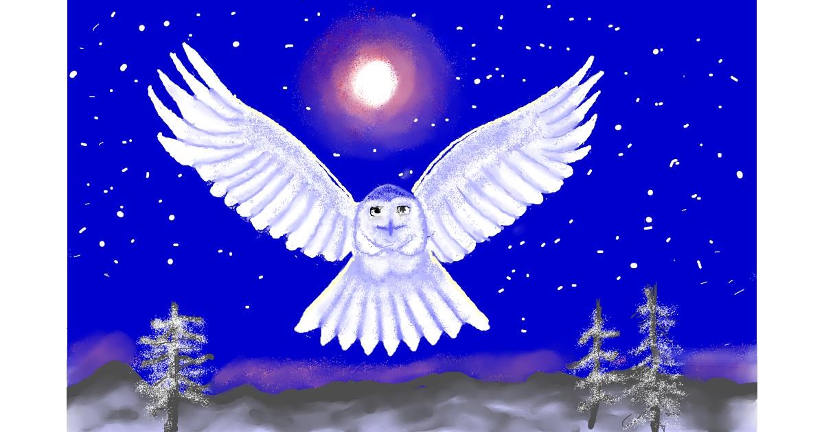 Drawing of Owl by GJP