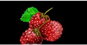Drawing of Raspberry by Eclat de Lune