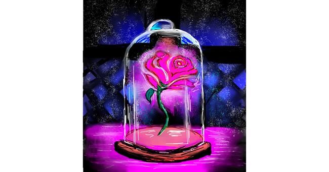 Drawing of Rose by KayXXXlee