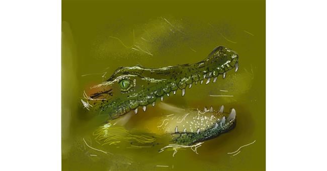 Drawing of Alligator by COOKIE🍪