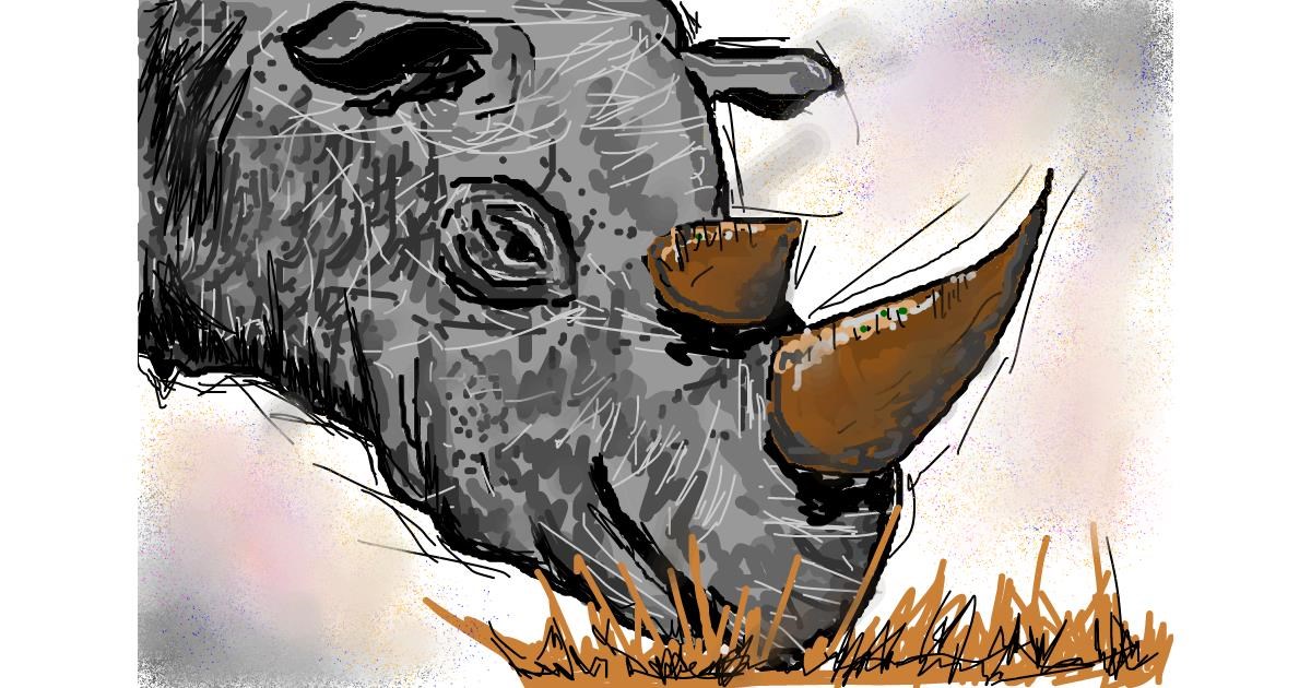 Drawing of Rhino by Josegreas