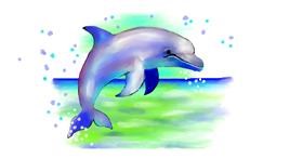 Drawing of Dolphin by Debidolittle