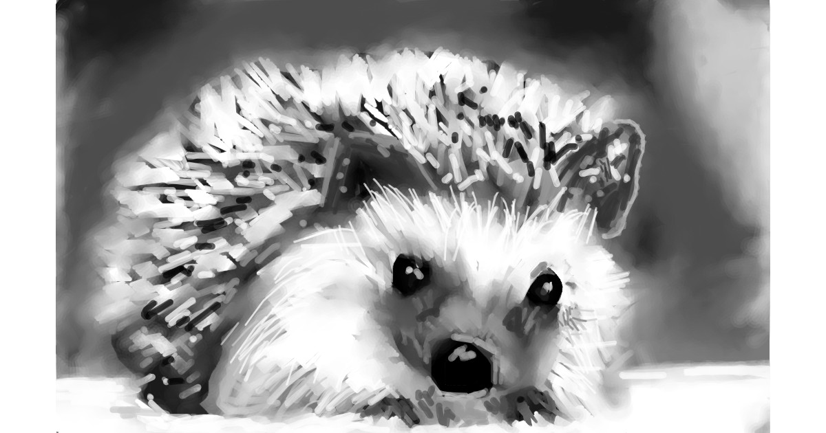 Full Size Drawing