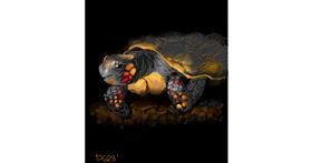 Schildkröte-Zeichnung von GreyhoundMama