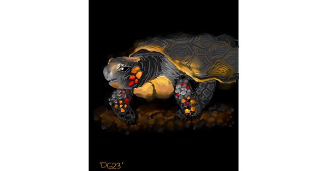 Drawing of Tortoise by GreyhoundMama