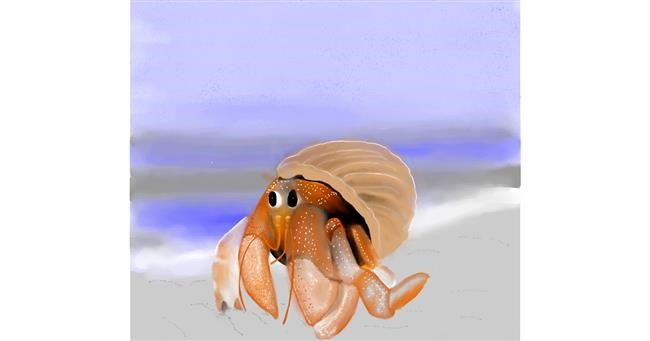 Drawing of Crab by Kp