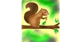 Drawing of Squirrel by Arya Kukku
