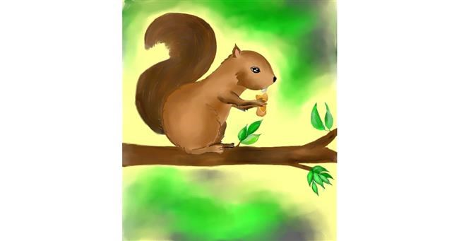 Drawing of Squirrel by Arya Kukku
