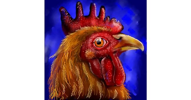 Drawing of Rooster by Leah