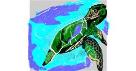 Drawing of Sea turtle by Leo🐾