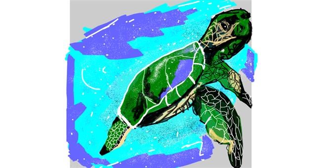 Drawing of Sea turtle by Leo🐾