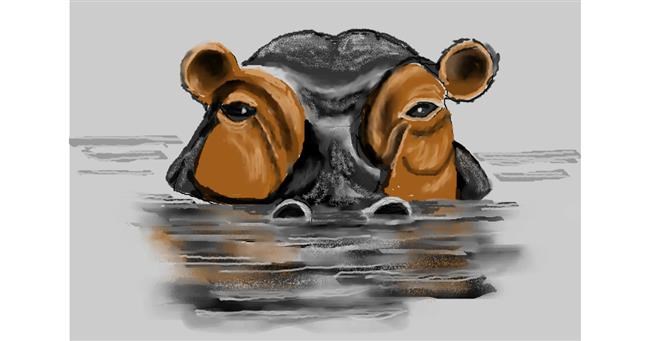 Drawing of Hippo by MINNA