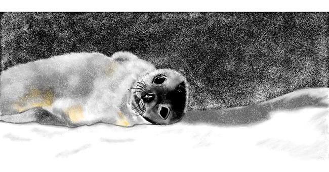 Drawing of Seal by Chaching