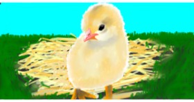 Drawing of Easter chick by Temüjin