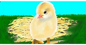 Uskršnje pile - autor: Temüjin