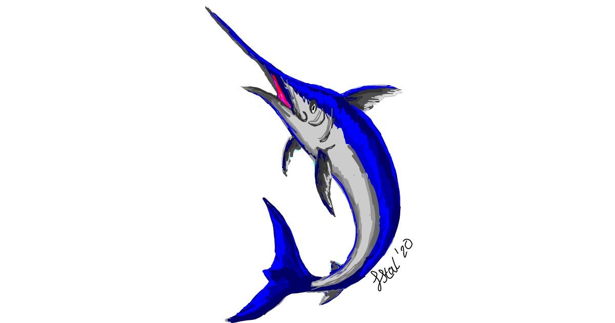 Swordfish Drawing by Iris - Drawize Gallery!