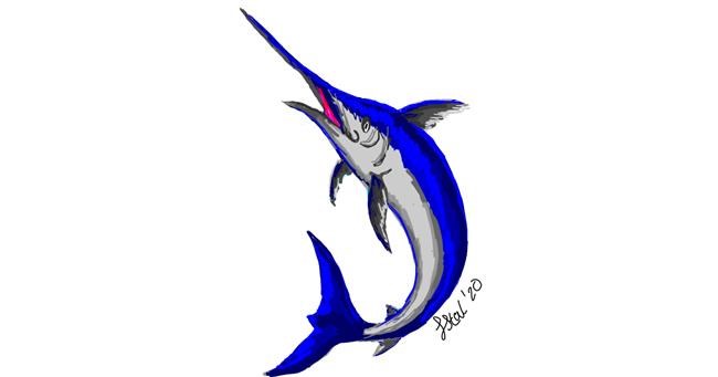 Drawing of Swordfish by Iris