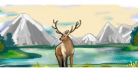 Drawing of Deer by YIXI