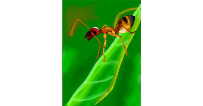 Drawing of Ant by Moby 