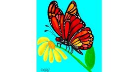Drawing of Butterfly by GreyhoundMama