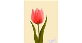 Drawing of Tulips by Serruh