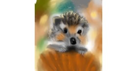 Drawing of Hedgehog by Myll 