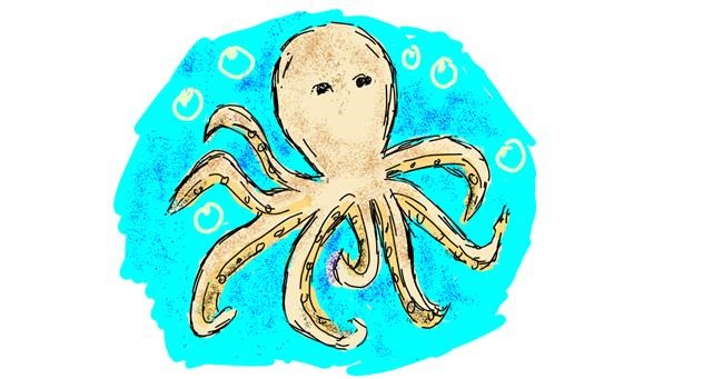 Drawing of Octopus by Lsk