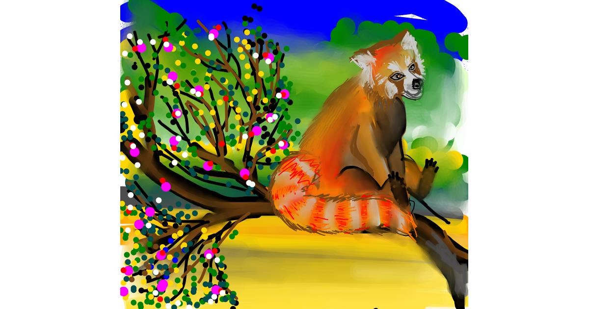 Drawing of Red Panda by Naaz
