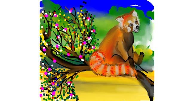 Roter Panda-Zeichnung von Naaz