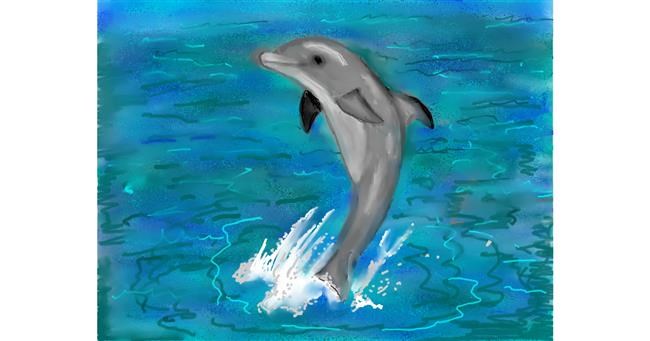Drawing of Dolphin by SAM AKA MARGARET 🙄