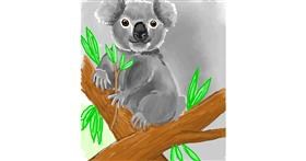 Koala - autor: GreyhoundMama