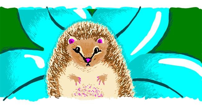Drawing of Hedgehog by b