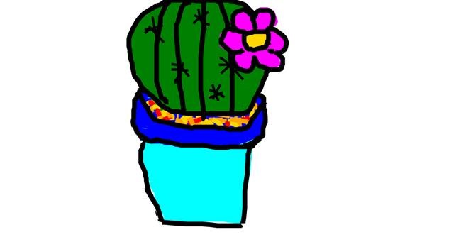 Drawing of Cactus by Marija