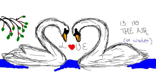 Drawing of Swan by kari