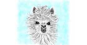 Drawing of Llama by Geo-Pebbles