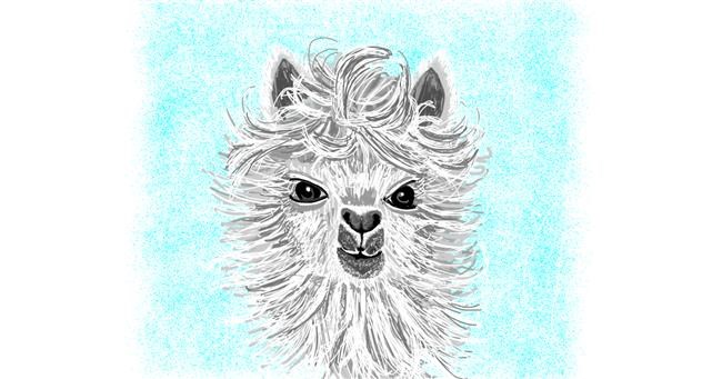 Drawing of Llama by Geo-Pebbles