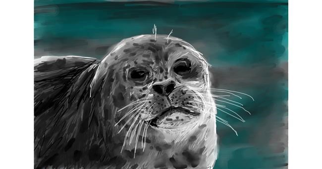 Drawing of Seal by Soaring Sunshine