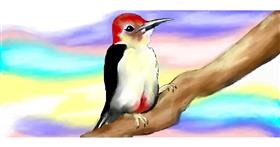 Drawing of Woodpecker by Debidolittle