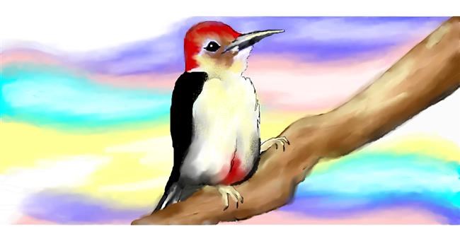 Drawing of Woodpecker by Debidolittle