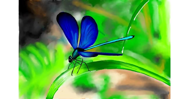 Drawing of Dragonfly by Bibattole