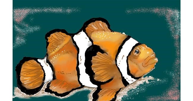 Drawing of Clownfish by Chipakey
