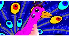 Drawing of Peacock by Swimmer 