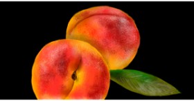 Drawing of Peach by Eclat de Lune