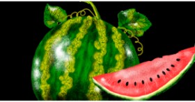 Drawing of Watermelon by Eclat de Lune