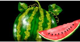 Drawing of Watermelon by Eclat de Lune