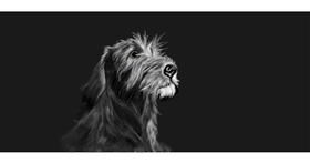 Drawing of Dog by Chaching